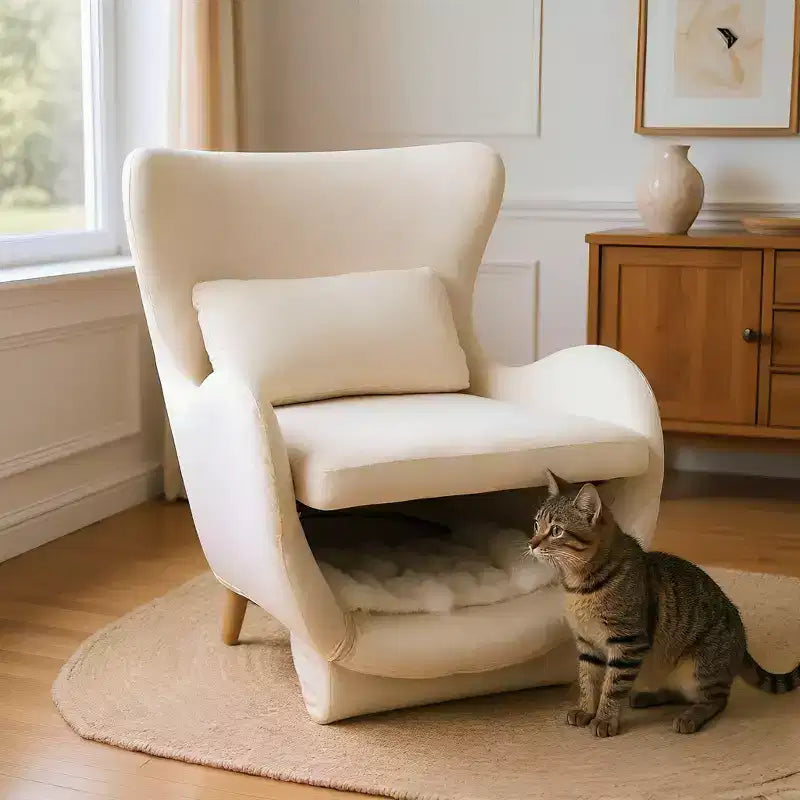Poltrona d'accento con spazio per animali domestici, poltrona lounge in velluto 2 in 1, poltrona singola imbottita per soggiorno ufficio