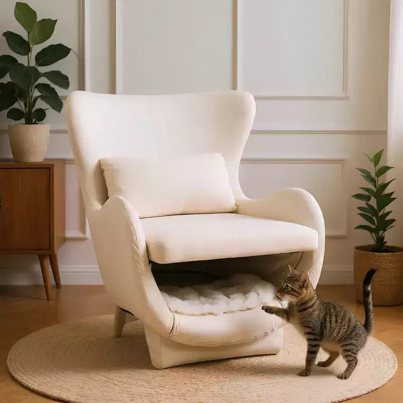 Poltrona d'accento con spazio per animali domestici, poltrona lounge in velluto 2 in 1, poltrona singola imbottita per soggiorno ufficio